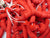 French strung flat 6mm sequin - Accessories Of Old