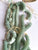 French strung flat 6mm sequin - Accessories Of Old